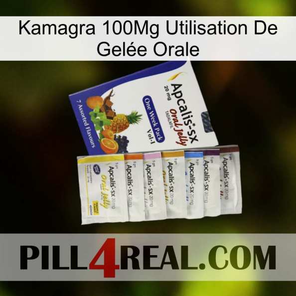 Kamagra 100Mg Utilisation De Gelée Orale 11.jpg